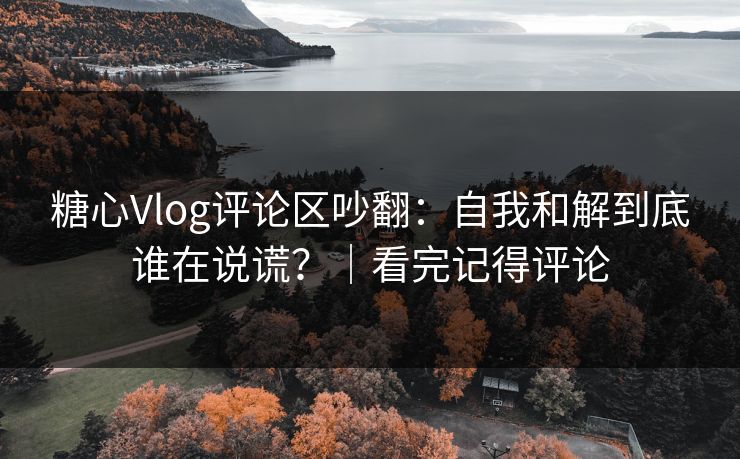 糖心Vlog评论区吵翻：自我和解到底谁在说谎？｜看完记得评论