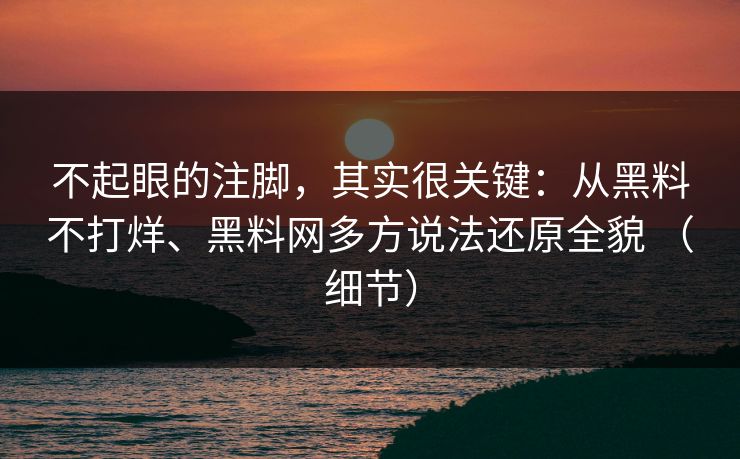 不起眼的注脚，其实很关键：从黑料不打烊、黑料网多方说法还原全貌 （细节）