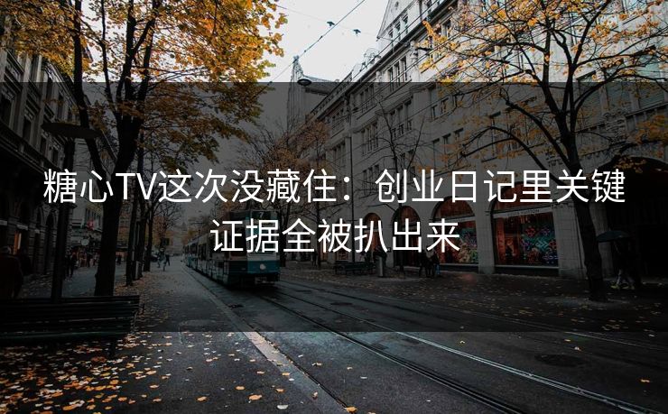 糖心TV这次没藏住：创业日记里关键证据全被扒出来