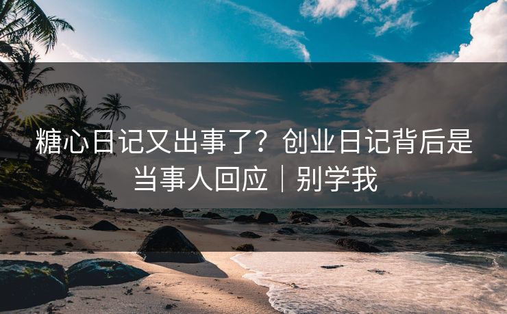 糖心日记又出事了？创业日记背后是当事人回应｜别学我