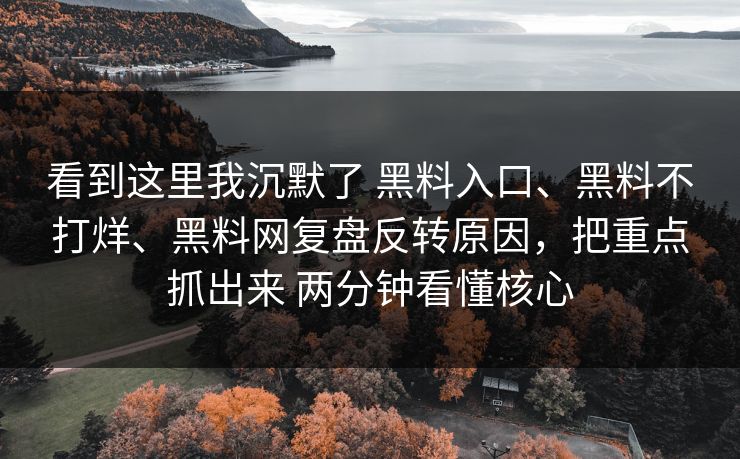看到这里我沉默了 黑料入口、黑料不打烊、黑料网复盘反转原因，把重点抓出来 两分钟看懂核心