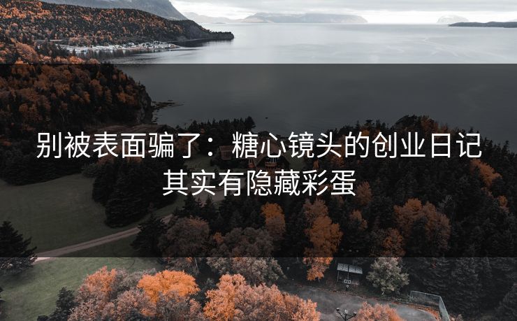 别被表面骗了：糖心镜头的创业日记其实有隐藏彩蛋