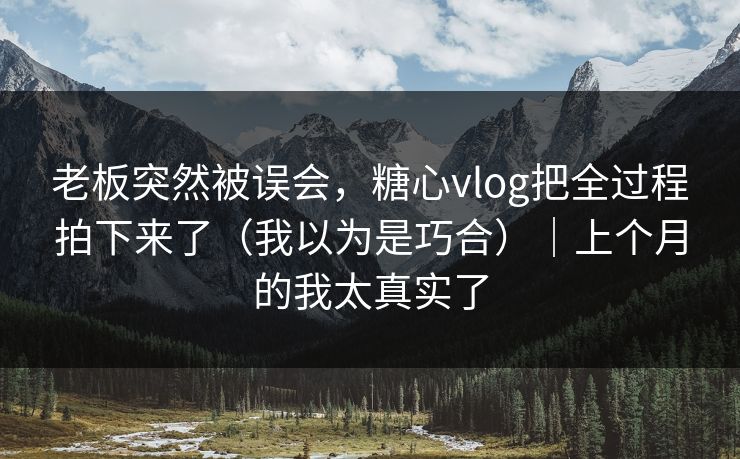 老板突然被误会，糖心vlog把全过程拍下来了（我以为是巧合）｜上个月的我太真实了
