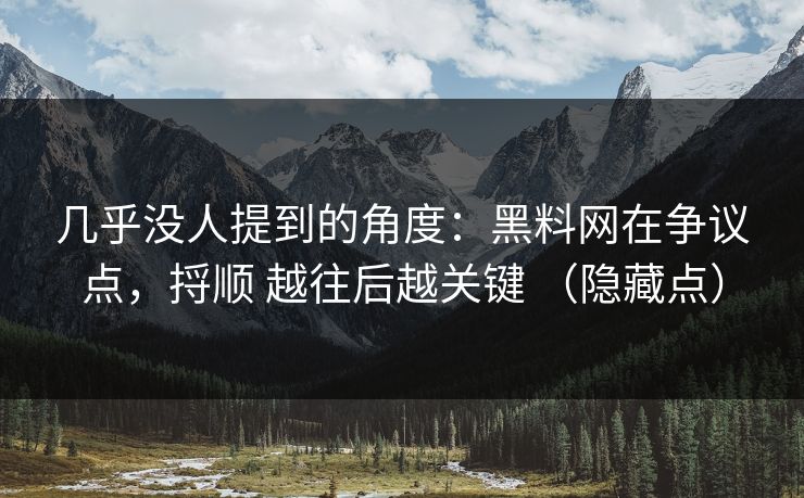 几乎没人提到的角度：黑料网在争议点，捋顺 越往后越关键 （隐藏点）