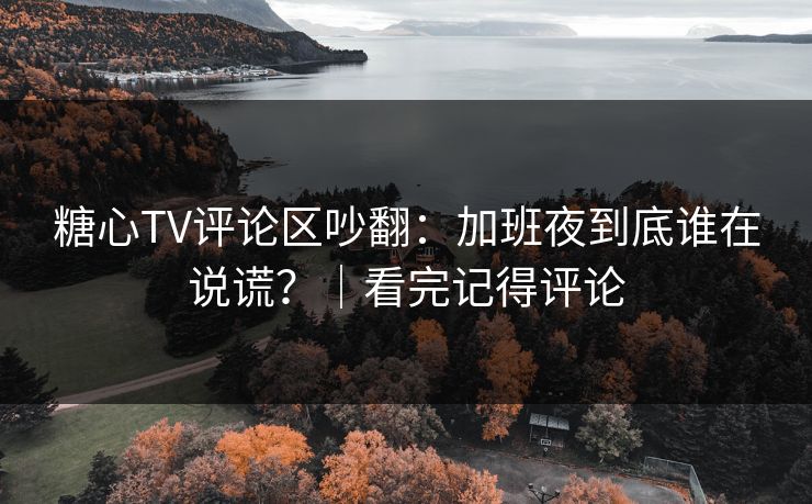 糖心TV评论区吵翻：加班夜到底谁在说谎？｜看完记得评论
