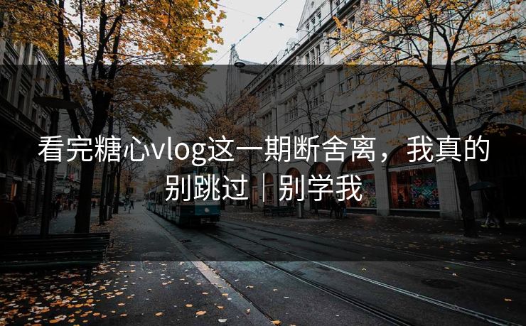看完糖心vlog这一期断舍离，我真的别跳过｜别学我