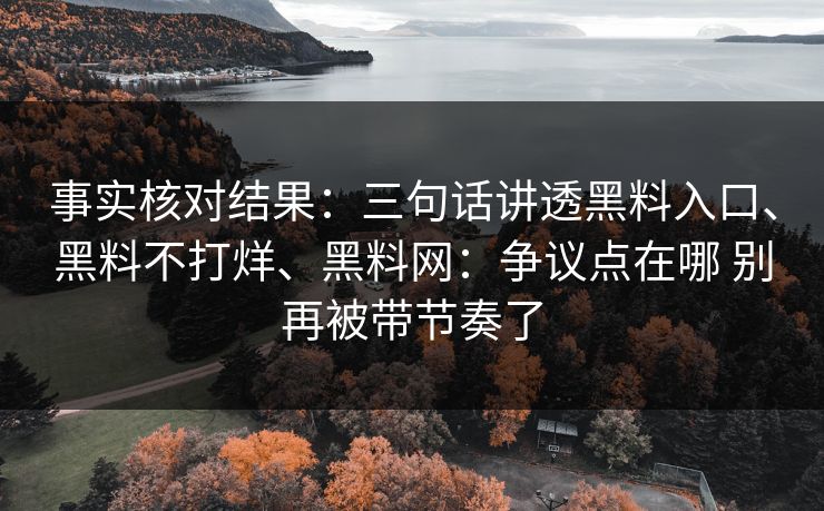 事实核对结果：三句话讲透黑料入口、黑料不打烊、黑料网：争议点在哪 别再被带节奏了